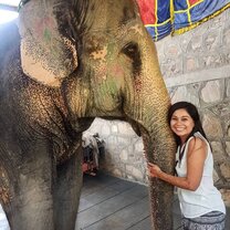 Volunteer in India with VolSol1 Volunteer in India with VolSol1